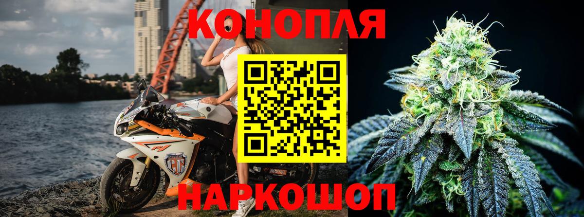Бошки Шишки гибрид Люберцы